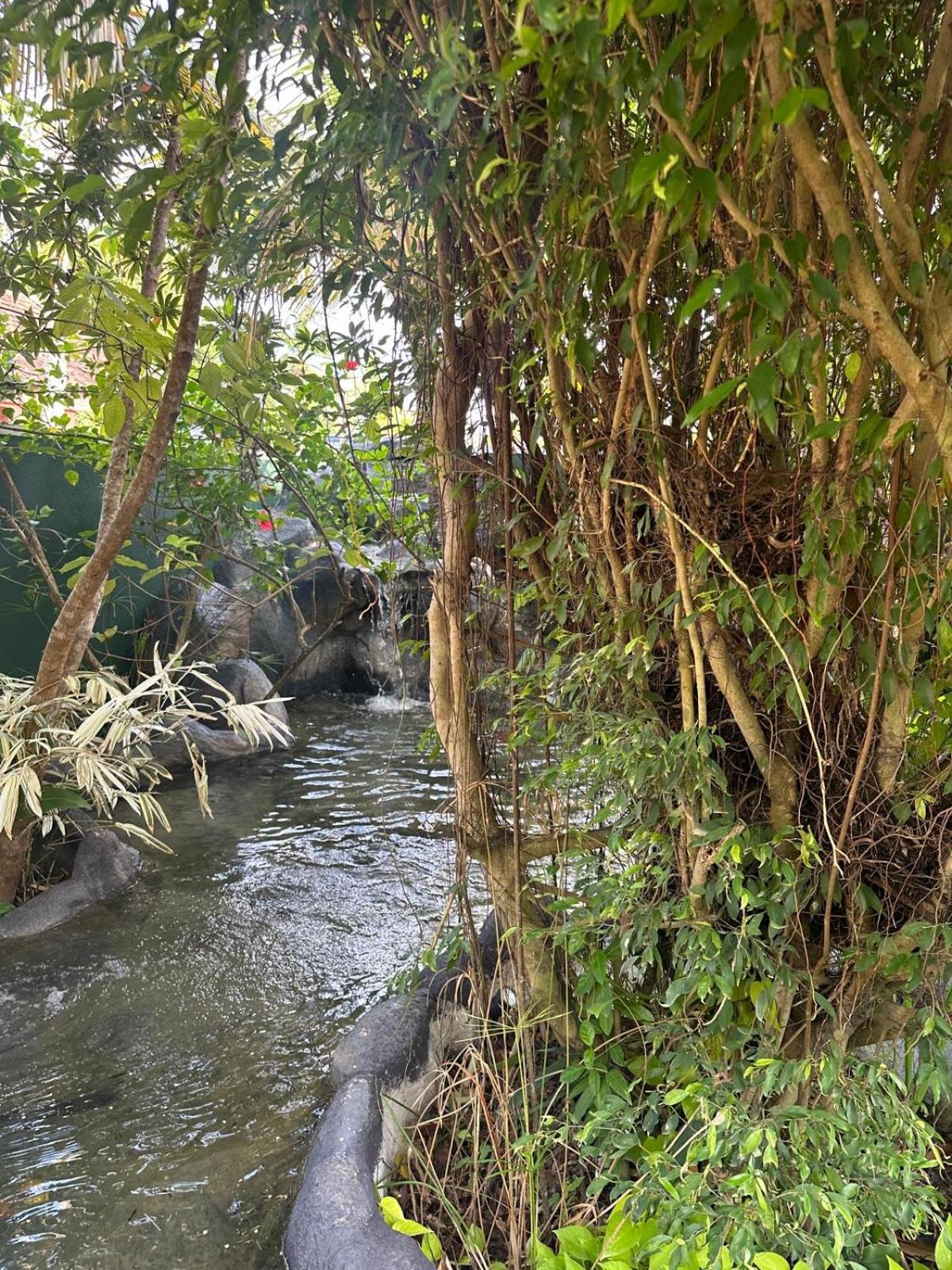 Aliya Lanka Hotel Beruwala Luaran gambar